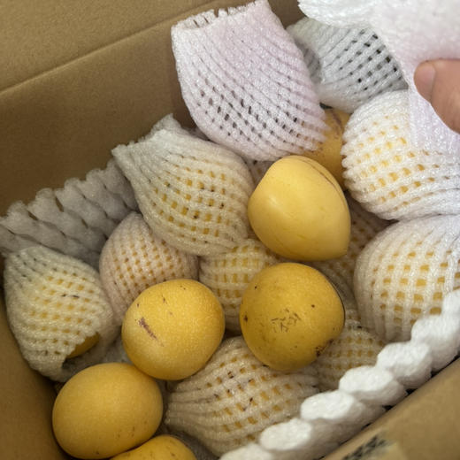 纯树熟人参果 口感好 甜味佳 多汁 35/件 3斤净果 商品图3