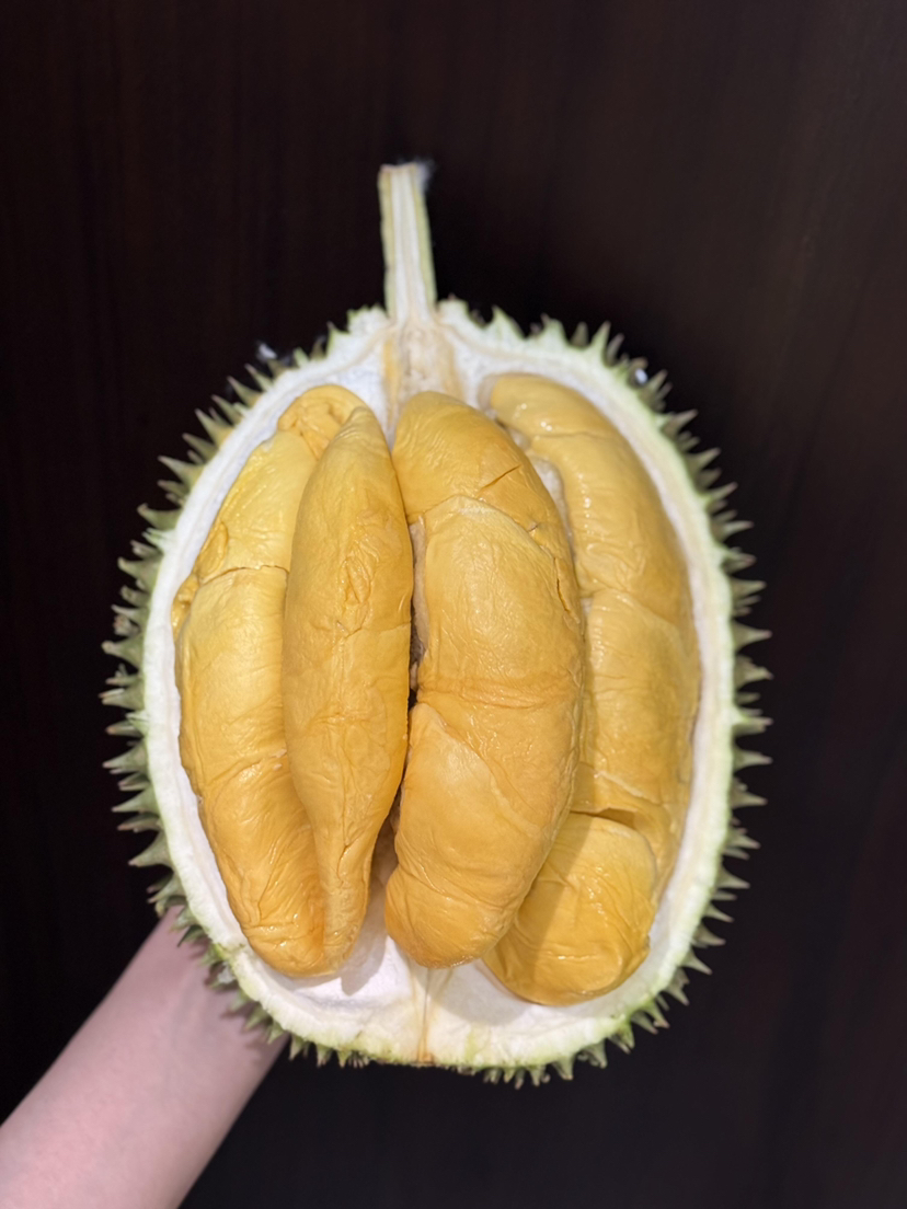 马来西亚D101“红肉”榴莲，软糯绵密。甜度极高