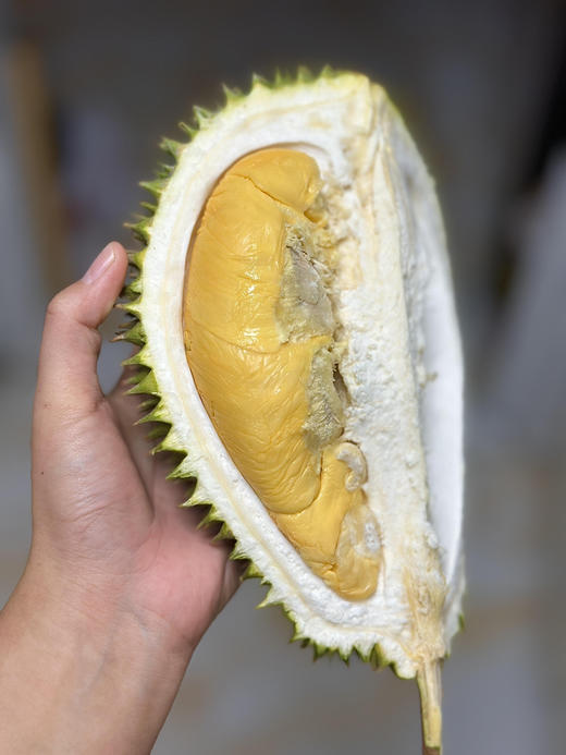 马来西亚D101“红肉”榴莲，软糯绵密。甜度极高 商品图2