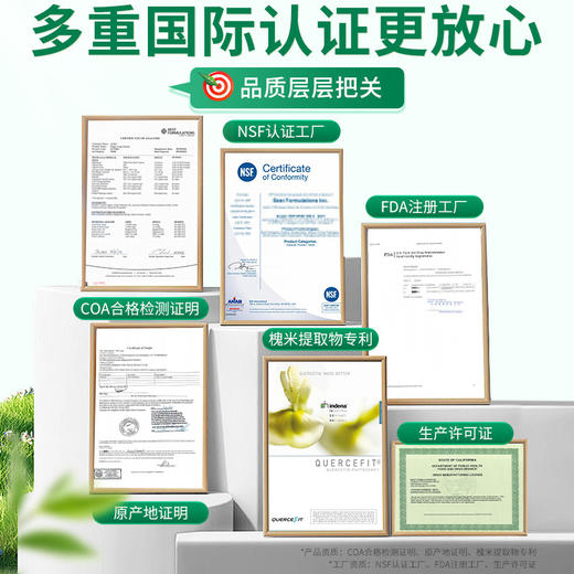 Vinsic 肺能量 商品图4
