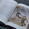 【特惠】《人类史前史》，16开，精装，[法] 马克·阿泽玛 / [法] 洛朗·布拉维耶著， 生活·读书·新知三联书店2022年一版一印，406页，定价148，售价：49元。 商品缩略图13