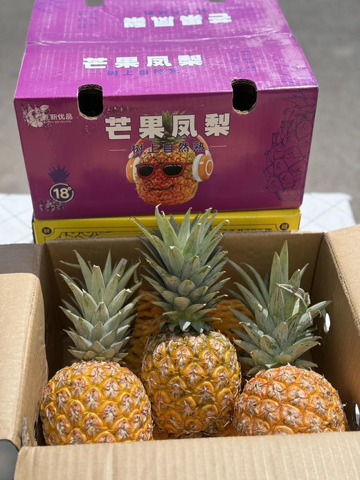 海南树熟芒果凤梨 商品图7