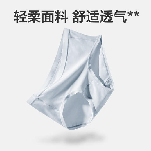 MM 山姆 Member's Mark 莫代尔女士内裤 混色 商品图12