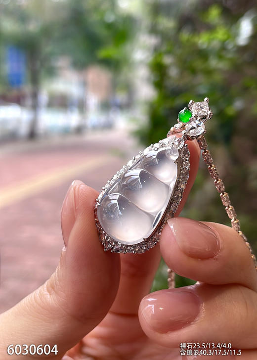 6030604，福豆吊坠。具体价格微信咨询 商品图1