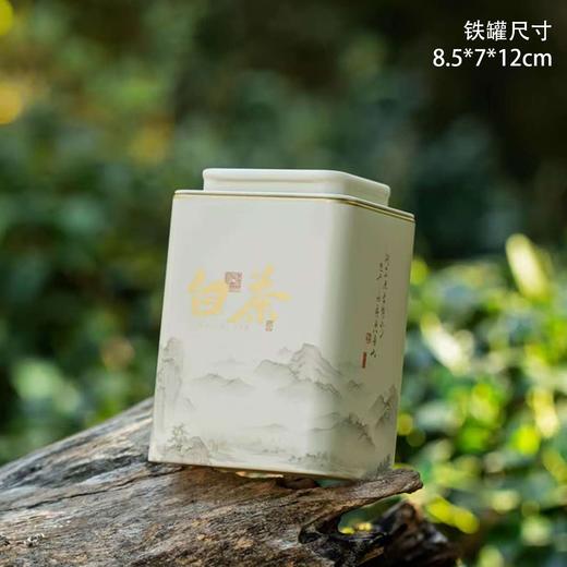 清风【米.5听白茶】40元1套，整箱14套 商品图3