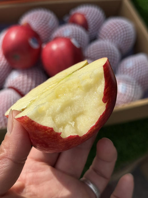 新西兰佳丽苹果 商品图1