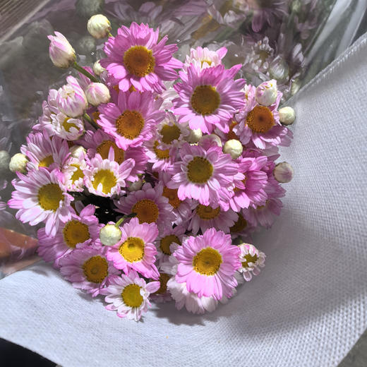 玛格丽特.粉色 商品图4