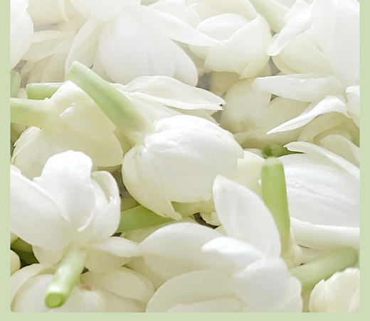 【私域专享】卢正浩特种茉莉龙井50克 商品图3