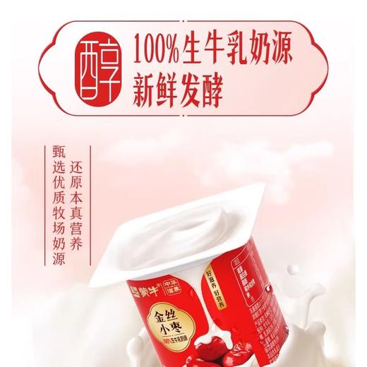 蒙牛 红枣风味酸牛奶16连杯 100g*16/组 商品图1