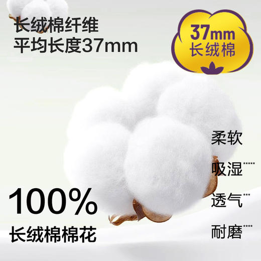 MM 山姆 Member's Mark 长绒棉女士中筒袜 时尚色 商品图3