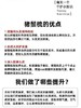 二店y 造型梳+按摩梳+护发梳【英国 JOSHAR松塔梳】 商品缩略图11
