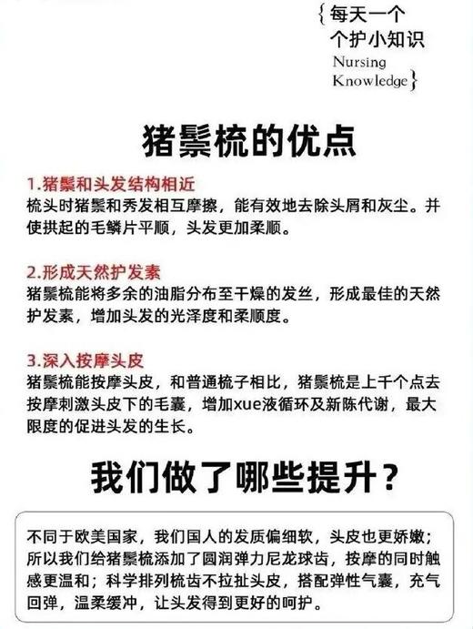 二店y 造型梳+按摩梳+护发梳【英国 JOSHAR松塔梳】 商品图11