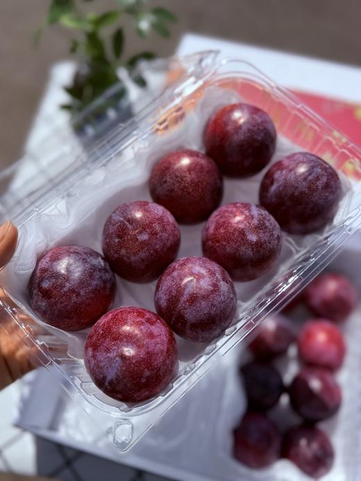 澳洲珠宝李 商品图0