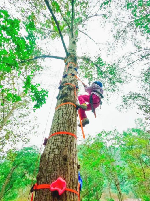 2026生存挑战— 峡谷穿越，岩壁攀登，埋锅造饭，最酷的户外玩法来袭！~ 商品图3