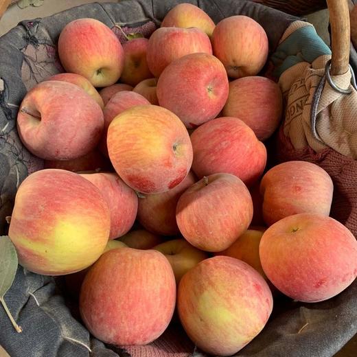 【阿克苏樱桃小苹果】红润小巧像樱桃，咬一口咔嚓爆汁，清甜不腻，果肉细腻无渣，产自天山雪水灌溉的阿克苏果园，超长日照+大温差， 自然甜，不催熟不打蜡，老人小孩都能放心吃 商品图5