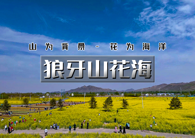 1日｜狼牙山花海｜万亩花海の狼牙山田园花海-太行水镇-1日休闲