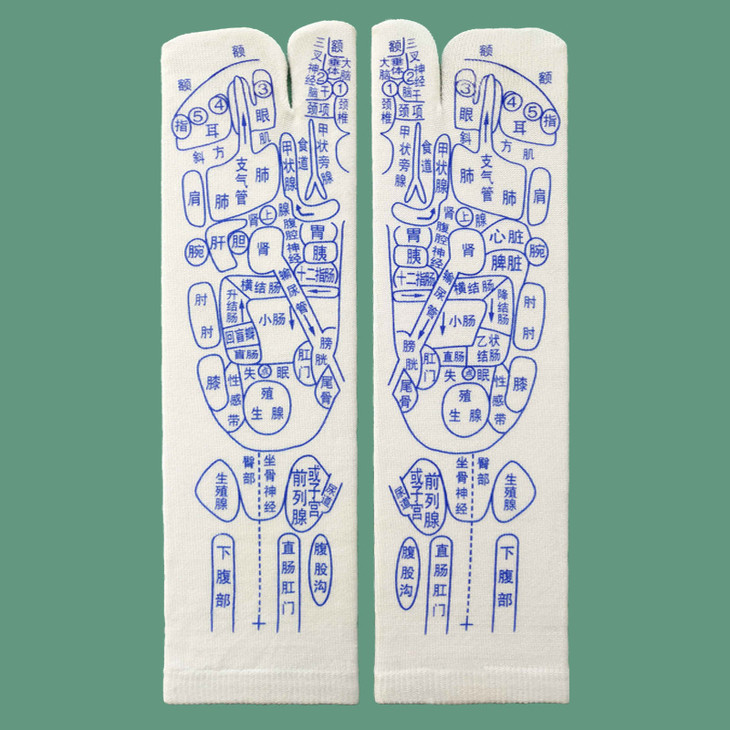 2二指脚掌800-800