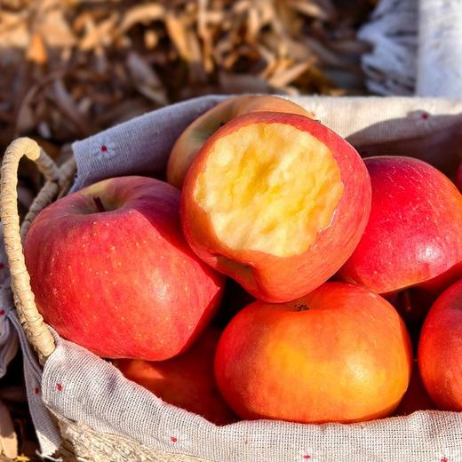 【阿克苏樱桃小苹果】红润小巧像樱桃，咬一口咔嚓爆汁，清甜不腻，果肉细腻无渣，产自天山雪水灌溉的阿克苏果园，超长日照+大温差， 自然甜，不催熟不打蜡，老人小孩都能放心吃 商品图3