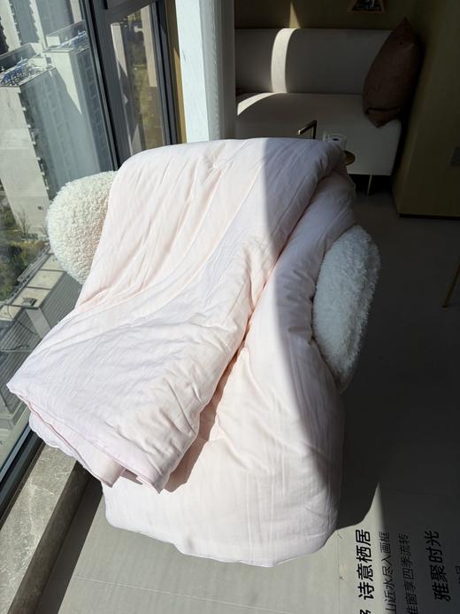 直发 专卖店撤柜尾单 【5斤重】 全棉春秋大豆被 商品图2