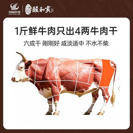 【颐和贡】手撕牛肉干 500g&100g 小条真牛肉 越嚼越上头 商品图6