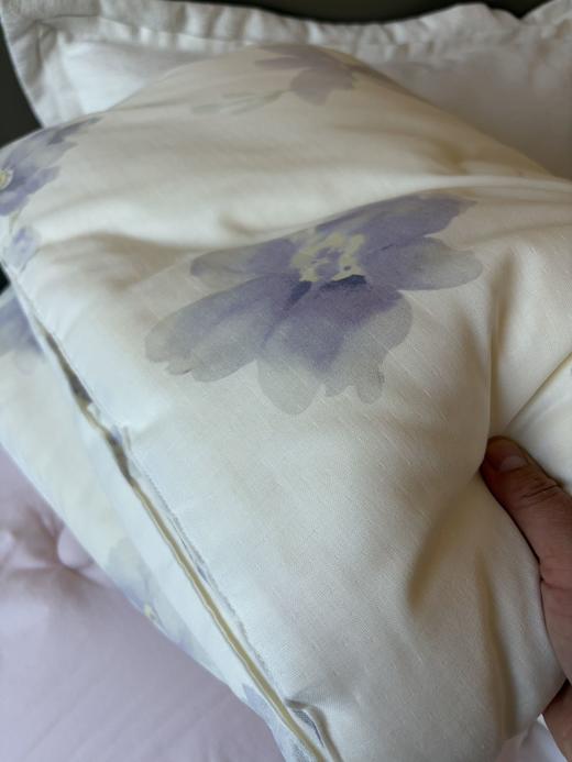 直发 专卖店撤柜尾单 【5斤重】 全棉春秋大豆被 商品图1