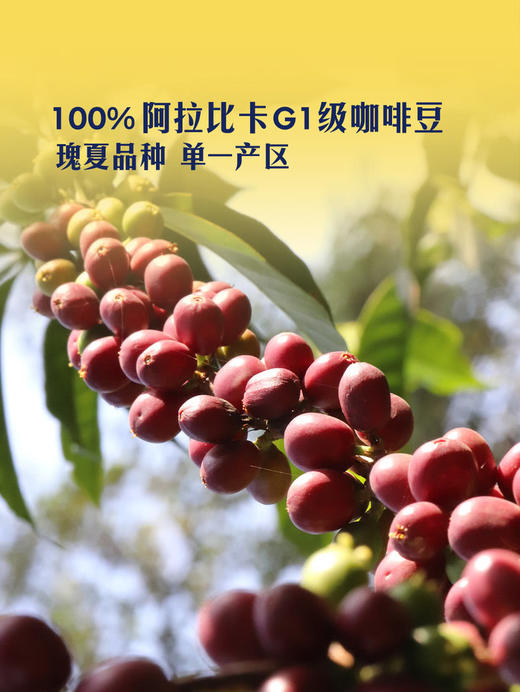 Member's Mark 瑰夏挂耳咖啡300g(10g*30)  山姆会员店商品非商品原因不支持退款 商品图2