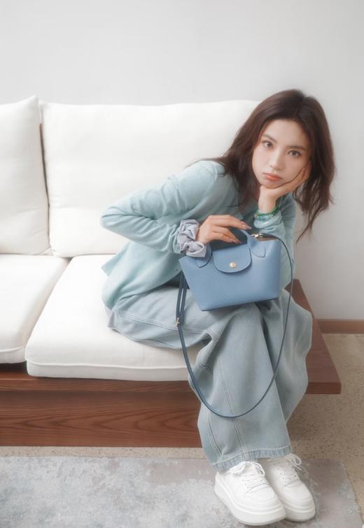 2026龙骧新款元宝菜篮子 商品图6