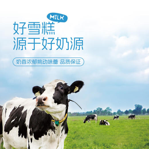 【超值40支装】美国百年冰淇淋品牌 美登高冰淇淋组合 山楂/香芋/葡萄/玉米 顺丰冷链发货 商品图14