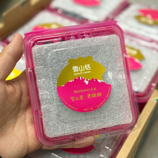 【2026 雪山恬蓝莓 中果】云南核心产区种植，颗粒饱满、新鲜可见，脆甜味浓，蓝莓风味足，入口满是花青素！净含量125克/盒，江浙沪皖顺丰包邮~ 商品图1