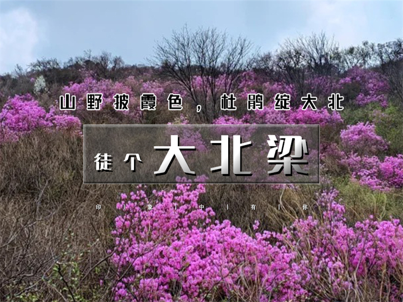 【大北梁杜鹃1日】环穿野趣の辛庄村-大北梁-北庄村环穿看杜鹃花12公里<初级>