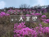 【大北梁杜鹃1日】环穿野趣の辛庄村-大北梁-北庄村环穿看杜鹃花12公里<初级> 商品缩略图0