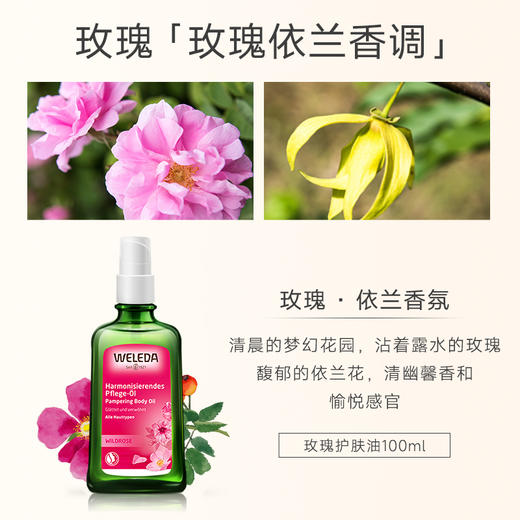 【品牌旗舰】WELEDA维蕾德玫瑰滋养护肤油100ml 保湿补水柔嫩肌肤 商品图3