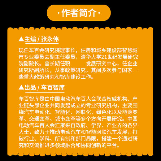 驶向全球：中国新能源汽车产业国际化发展之路 张永伟著 新能源汽车国际化出海指南书籍 商品图4