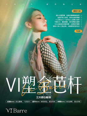 VI塑全芭杆，定金&尾款支付链接