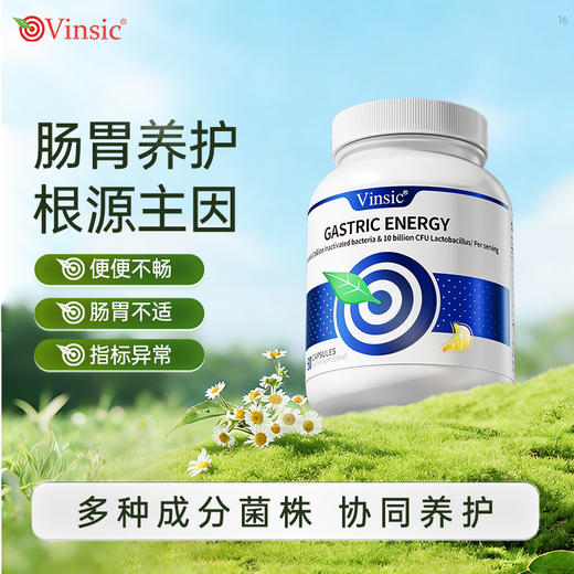 Vinsic胃能量 商品图0