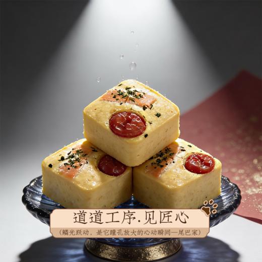 尾巴先生自制狗粮饭湿粮泰迪金毛柯基狗狗零食拌饭三文鱼鲜食营养 商品图4