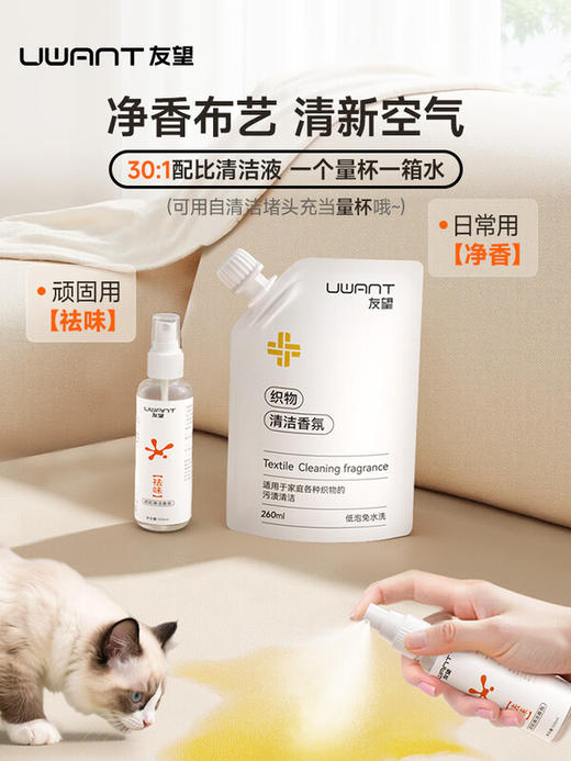 UWANT友望【旗舰】布艺清洗机洗吸一体机全屋家用地毯沙发床垫招财猫Y200steam多功能蒸汽清洁机 招财猫Steam 商品图5