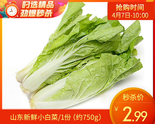 山东新鲜小白菜/1份（约750g） 商品图0