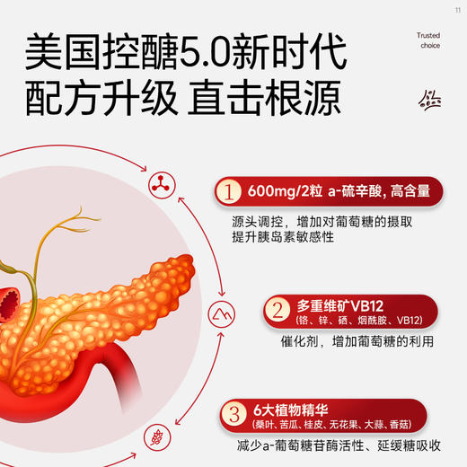 Vinsic糖平胶囊 商品图4