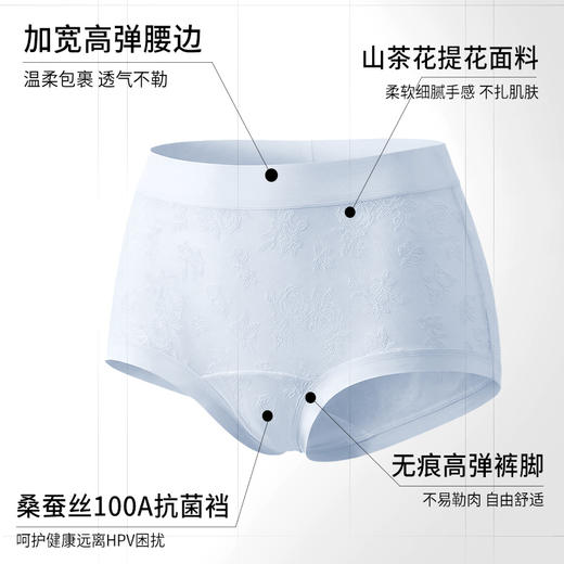 【樱姿娜 · 山茶花平角裤WL88085】 🌸人体工学小平角版型➕加长底裆设计，提升安心度🌸山茶花立体浮雕提花面料，美学➕防护双在线 商品图3
