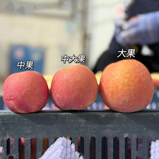 新疆樱桃苹果 | 一口咬下，苹果味浓得叫人停不下来~【京东快递】 商品图4