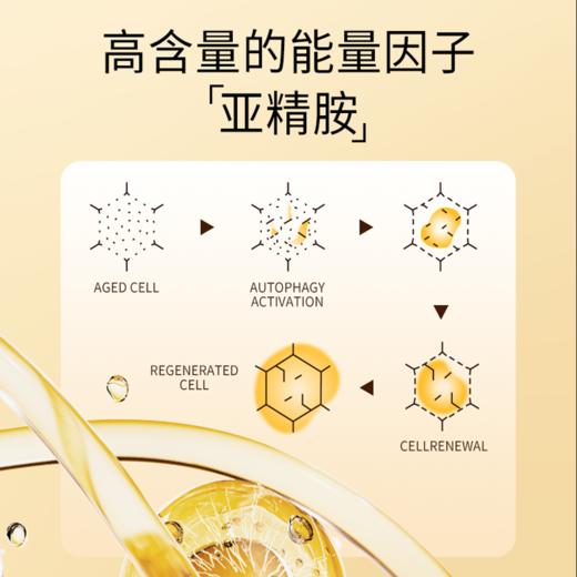 【贵妇级PQQ】OXYENERGY氧气能量PQQ小金瓶胶囊30粒/瓶端粒科技进口营养 商品图1