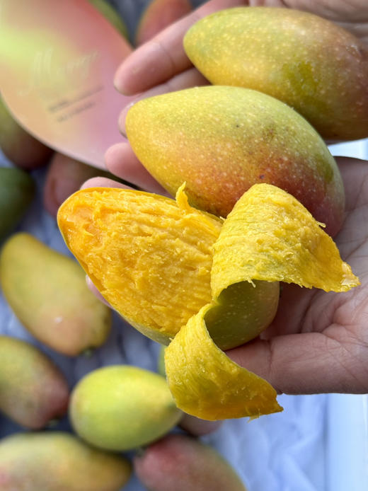 海南蜜香妃芒果 商品图1