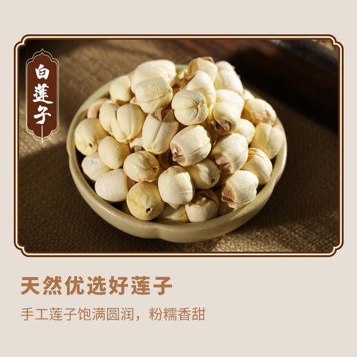 小儿肥儿汤 商品图2