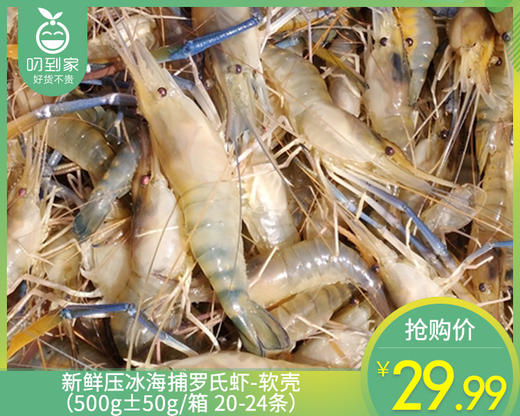 新鲜压冰海捕罗氏虾-软壳（500g±50g/箱 20-24条） 商品图0