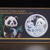 首枚法定面值国际版熊猫币2026中国熊猫 - 萨摩亚纪念币！（72小时发货） 商品缩略图0
