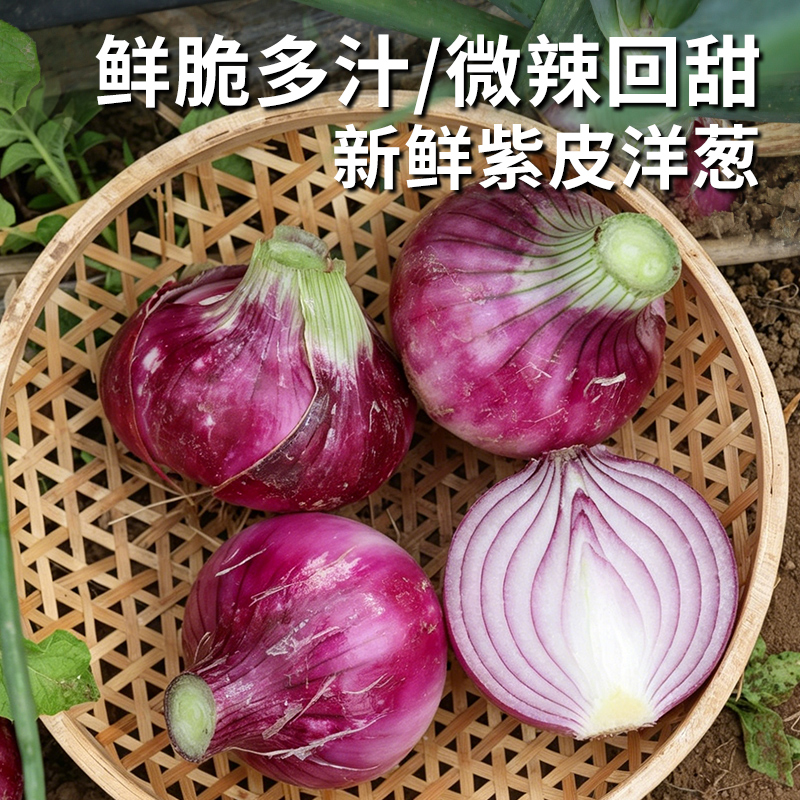 安心优选 紫皮洋葱 500g 颜色鲜亮  清脆爽口 微辣味浓  凉拌炒食均佳  葱头