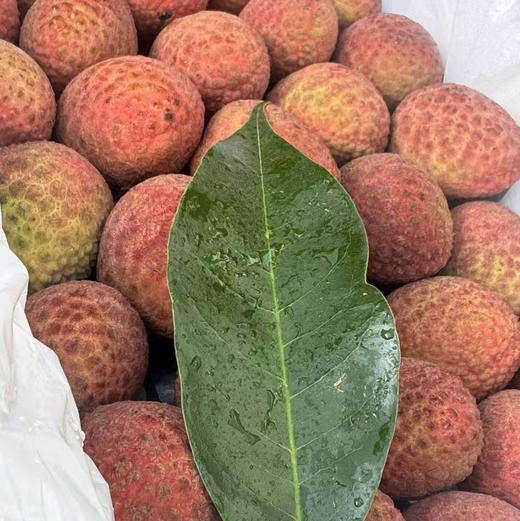 【先人一步桂花香味荔枝】淡淡的桂花香味，清甜皮薄脆，一口下去[色]爆浆而出，下喉还留桂花幽香 商品图11