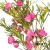 配花 | 菠萝蜜花 商品缩略图2
