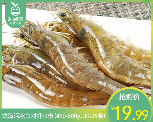 龙海活冰白对虾/1份（450-500g，30-35条） 商品图0